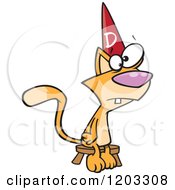 Cartoon Of A Dumb Orange Cat Sitting On A Stool And Wearing A Dunce Hat Royalty Free Vector Clipart
