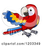 Poster, Art Print Of Cute Scarlet Macaw Presenting