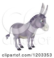 Cute Donkey In Profile