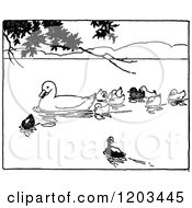 Clipart Of A Vintage Black And White Mother Duck And Ducklings Royalty Free Vector Illustration