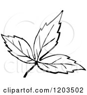 Clipart Of A Vintage Black And White Leaf Royalty Free Vector Illustration