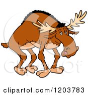 Poster, Art Print Of Bow Legged Moose