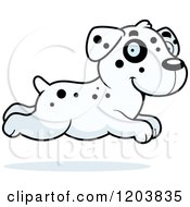 Poster, Art Print Of Cute Dalmatian Puppy Running