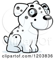 Cute Dalmatian Puppy Sitting