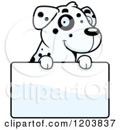 Poster, Art Print Of Cute Dalmatian Puppy Over A Sign