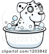 Poster, Art Print Of Cute Dalmatian Puppy Taking A Bath