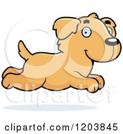 Poster, Art Print Of Cute Golden Retriever Puppy Running