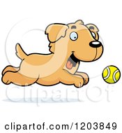 Poster, Art Print Of Cute Golden Retriever Puppy Chasing A Tennis Ball