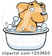 Poster, Art Print Of Cute Golden Retriever Puppy Taking A Bath