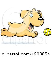 Poster, Art Print Of Cute Yellow Labrador Puppy Chasing A Tennis Ball