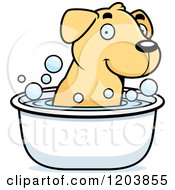 Cute Yellow Labrador Puppy Taking A Bath