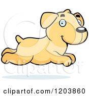 Poster, Art Print Of Cute Yellow Labrador Puppy Running