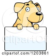 Poster, Art Print Of Cute Yellow Labrador Puppy Over A Sign