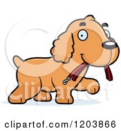 Cute Spaniel Puppy Carrying A Leash