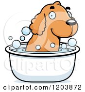 Cute Spaniel Puppy Taking A Bath