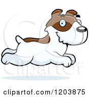 Poster, Art Print Of Cute Jack Russell Terrier Puppy Running