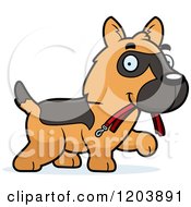 Cute German Shepherd Puppy Carrying A Leash