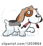 Cute Beagle Puppy Carrying A Leash In His Mouth