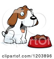 Cute Beagle Puppy With Dog Food