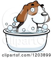Cute Beagle Puppy Taking A Bath