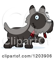 Poster, Art Print Of Cute Scottish Terrier Puppy Carrying A Leash