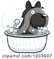 Cute Scottish Terrier Puppy Taking A Bath