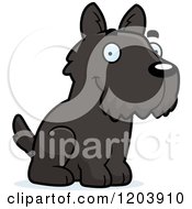 Poster, Art Print Of Cute Scottish Terrier Puppy Sitting