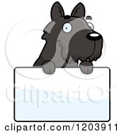 Cute Scottish Terrier Puppy Over A Sign