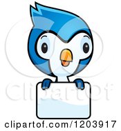 Poster, Art Print Of Cute Baby Blue Jay Over A Sign