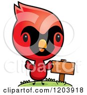 Cute Baby Cardinal Bird By A Sign Post