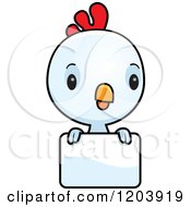 Poster, Art Print Of Cute Baby Rooster Over A Sign