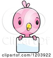 Poster, Art Print Of Cute Pink Baby Bird Over A Sign