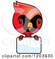 Cute Baby Cardinal Bird Over A Sign