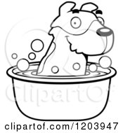 Poster, Art Print Of Black And White Cute Jack Russell Terrier Puppy Taking A Bath