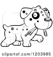 Poster, Art Print Of Black And White Cute Dalmatian Puppy Carrying A Leash