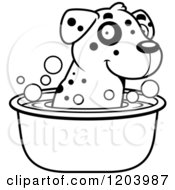 Poster, Art Print Of Black And White Cute Dalmatian Puppy Taking A Bath