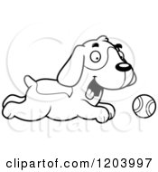 Poster, Art Print Of Black And White Cute Beagle Puppy Chasing A Tenni Ball