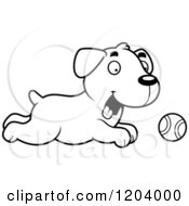 Poster, Art Print Of Black And White Cute Labrador Puppy Chasing A Tennis Ball