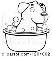 Poster, Art Print Of Black And White Cute Labrador Puppy Taking A Bath