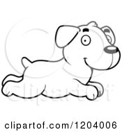 Poster, Art Print Of Black And White Cute Labrador Puppy Running