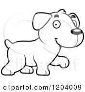 Poster, Art Print Of Black And White Cute Labrador Puppy Walking