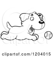 Poster, Art Print Of Black And White Cute Golden Retriever Puppy Chasing A Tennis Ball