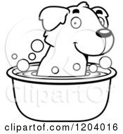 Poster, Art Print Of Black And White Cute Golden Retriever Puppy Taking A Bath