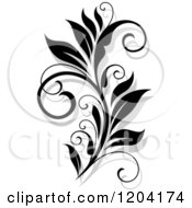 Poster, Art Print Of Black And White Flourish With A Shadow 15