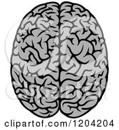 Poster, Art Print Of Gray Human Brain 3