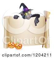 Black Cat Wearing A Witch Hat And Pointing Down At A Halloween Sign With Pumpkins And A Broomstick