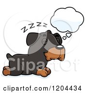 Cute Rottweiler Puppy Dog Dreaming