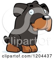 Poster, Art Print Of Cute Rottweiler Puppy Dog Sitting