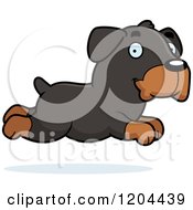 Poster, Art Print Of Cute Rottweiler Puppy Dog Running