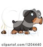 Poster, Art Print Of Cute Rottweiler Puppy Dog Pooping